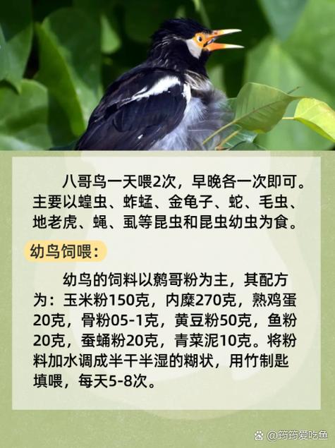 熟女人妻在线免费的相关介绍
