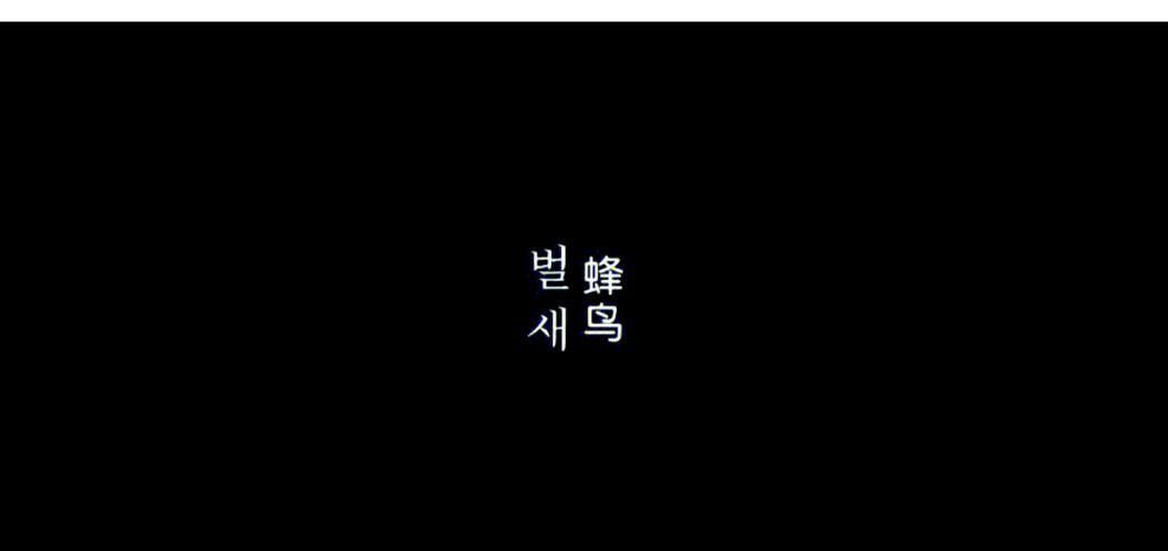 免费小视频app下载的相关介绍