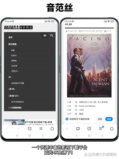 蜜桃av啊女骚的相关介绍