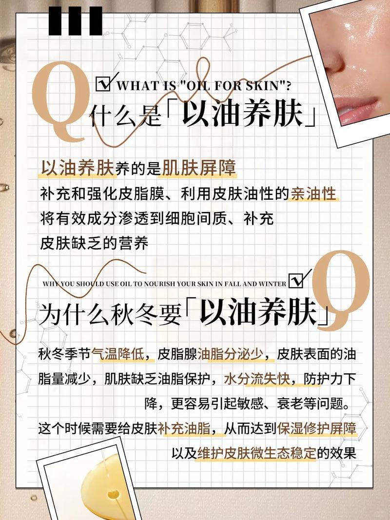 人妻系列h文的相关介绍