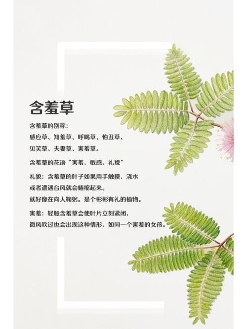 官场淫事(h)的相关介绍