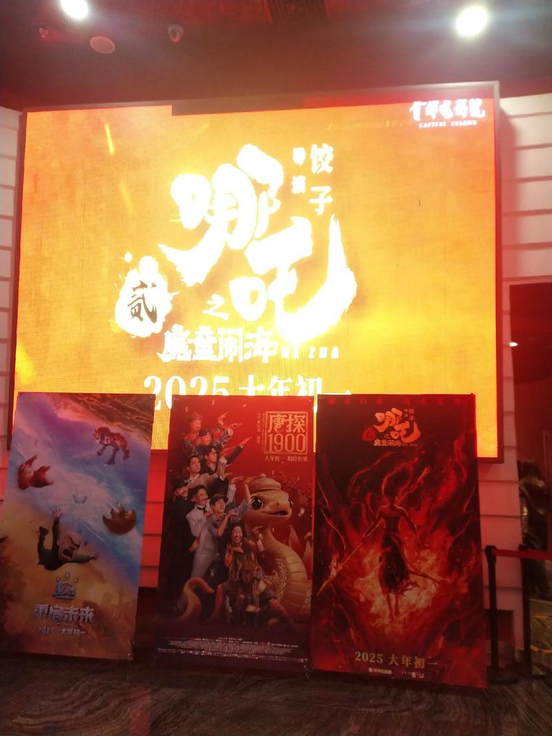 双视影院在线观看的相关介绍
