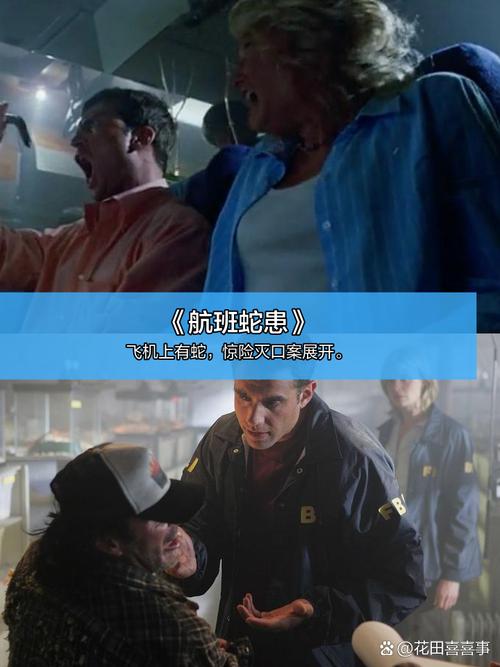 午夜影院成人的相关介绍