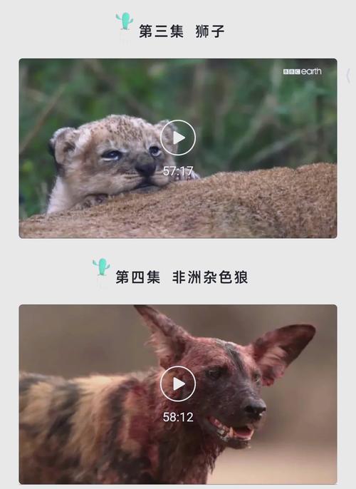 亚洲av男人的天堂久久久的相关介绍