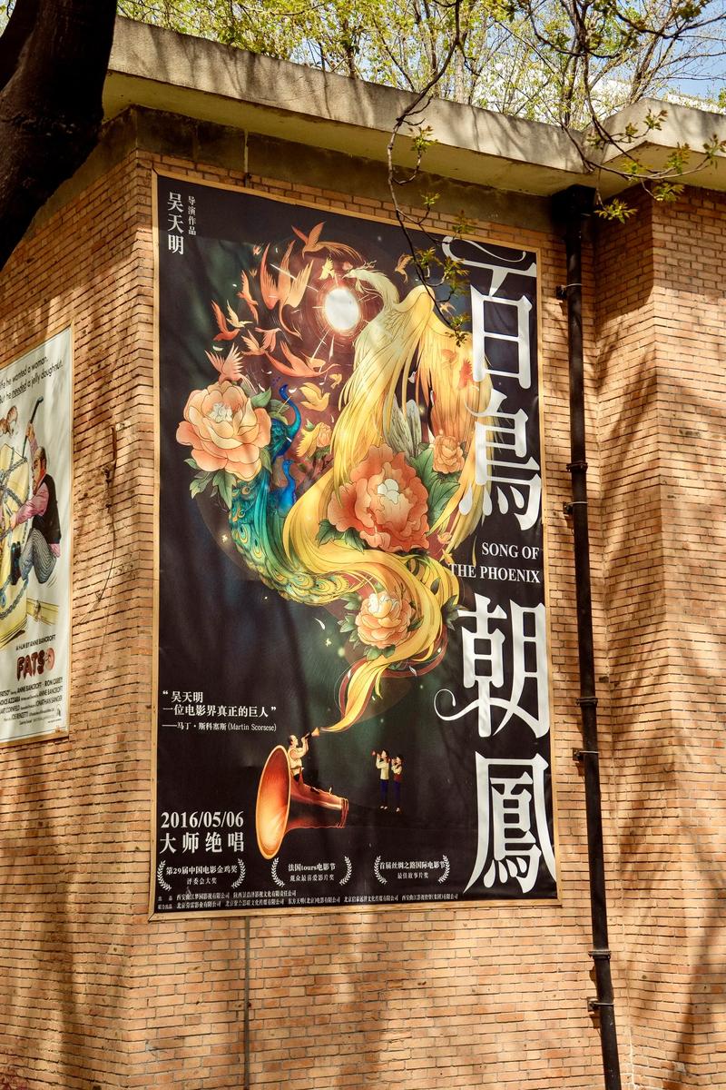 大学生美女高潮毛片的相关介绍