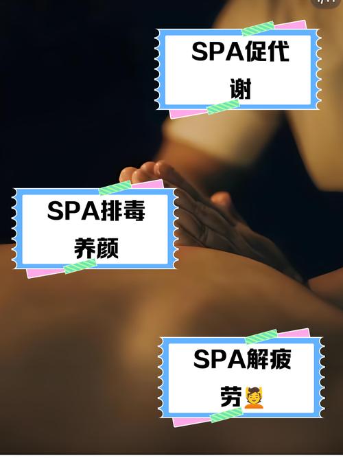 首播影院yy4480的相关介绍
