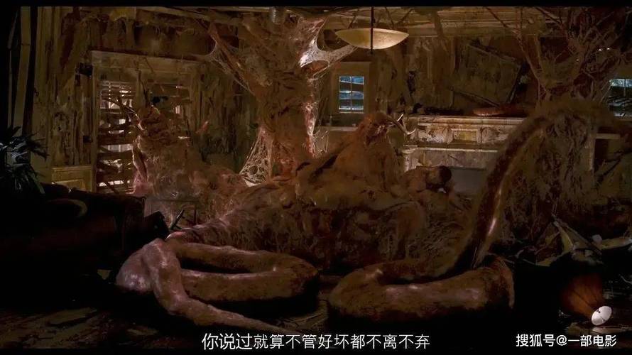 老熟妇88av的相关介绍