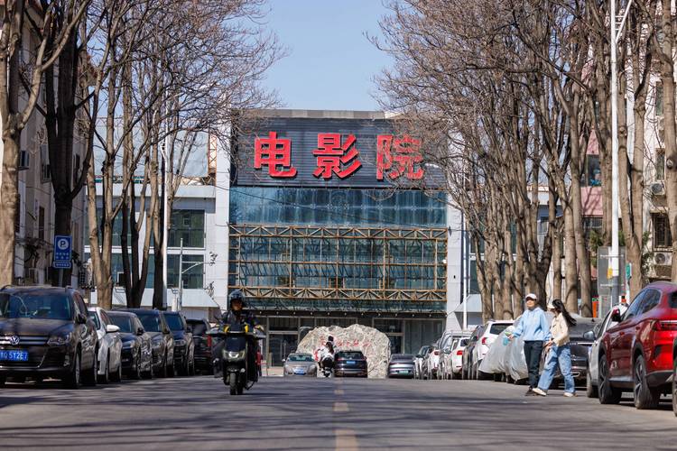成人影院a片的相关介绍