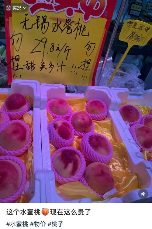爆操极品美女老师的相关介绍