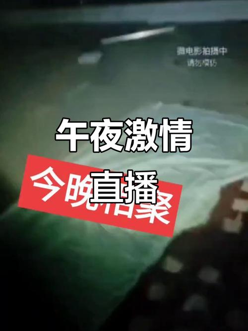 从哪看毛片的相关介绍