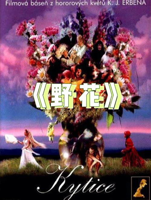 国内少妇av的相关介绍