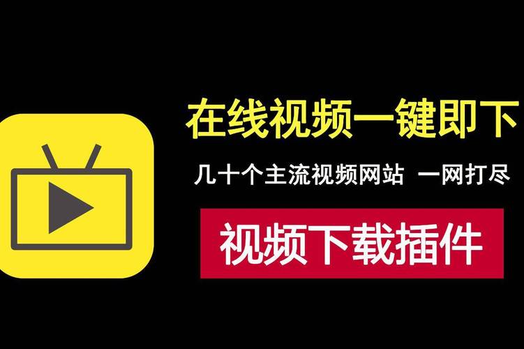 骑士影院在线观看的相关介绍