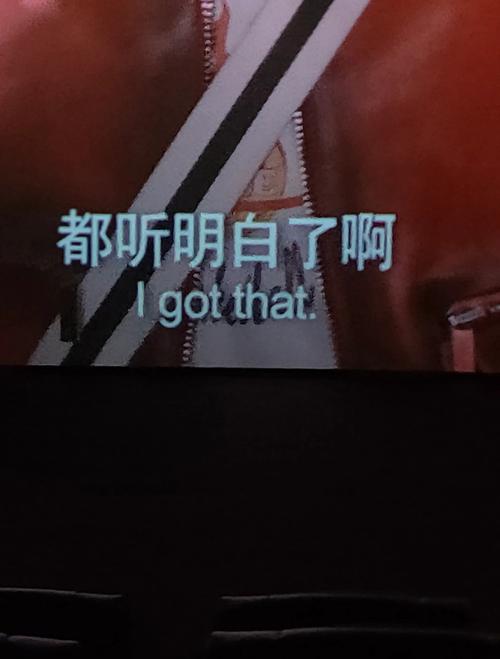 临安比高电影院的相关介绍