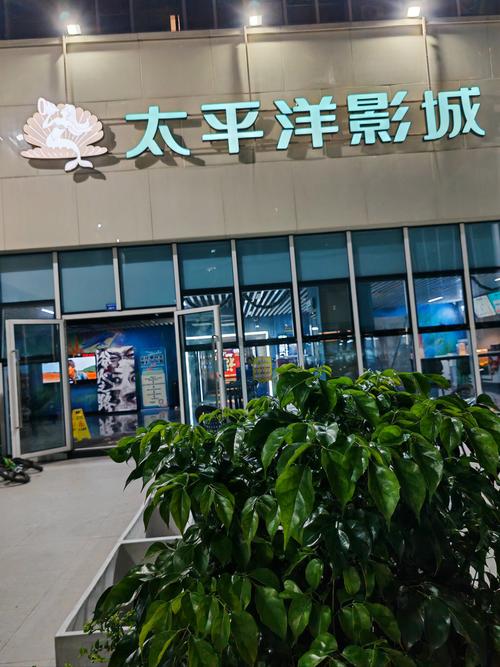 久久电影院99在线观看的相关介绍