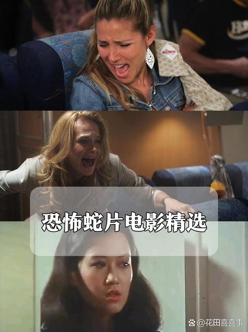 妹妹影院的相关介绍