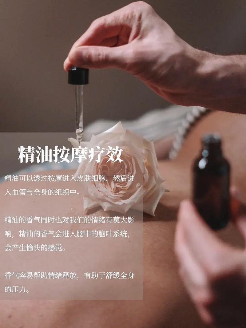 高清毛片aaaaaaaaa片的相关介绍