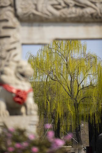黑人和亚洲女人av的相关介绍