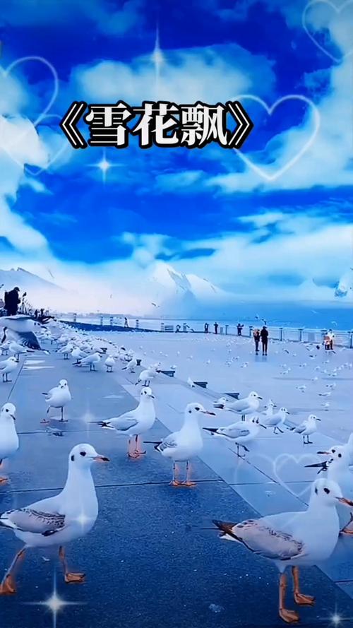 午夜影院视费x看试看的相关介绍