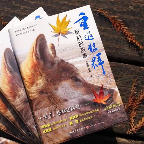 九九久久久久久精品的相关介绍