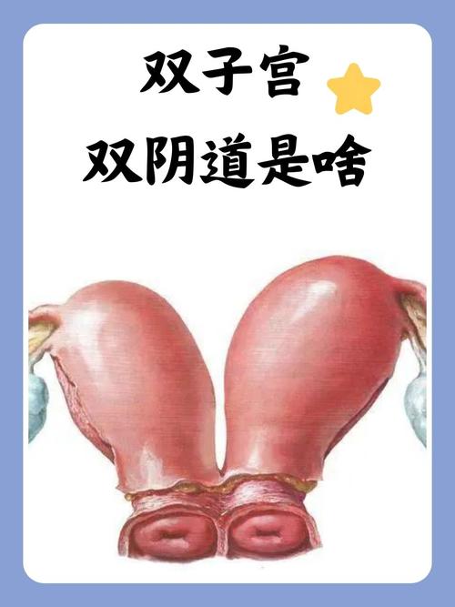 年上调教h文的相关介绍