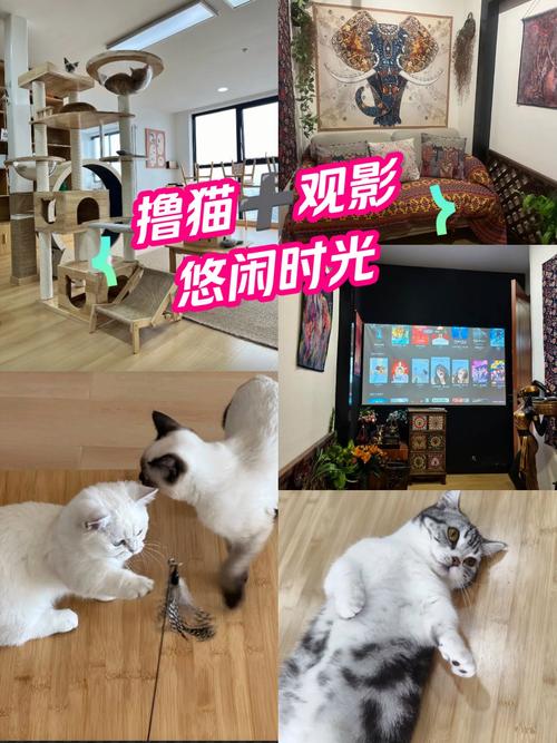 久久66av的相关介绍