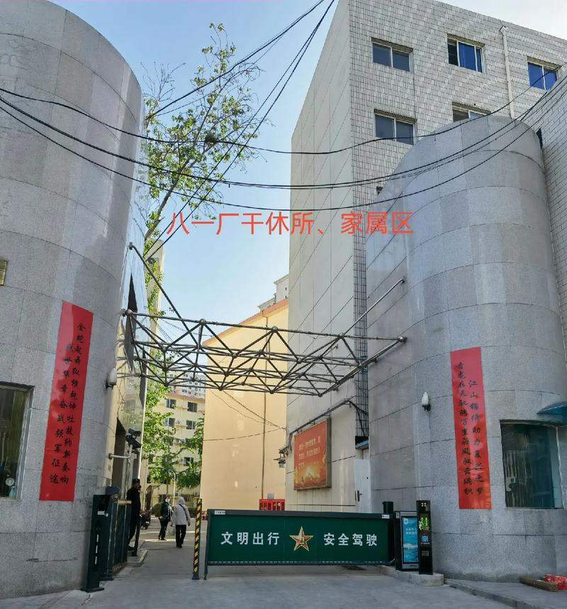 大鸡鸡影院的相关介绍