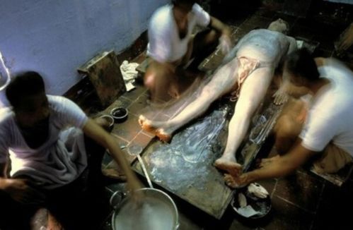 235影院的相关介绍