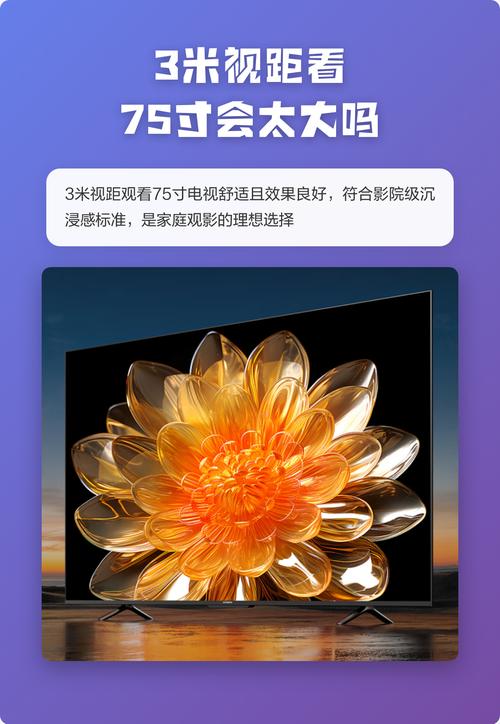 黑木耳影院的相关介绍