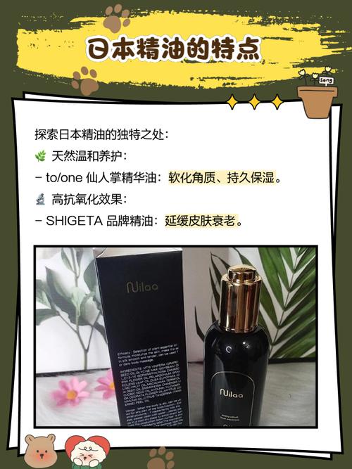 操她动漫的相关介绍