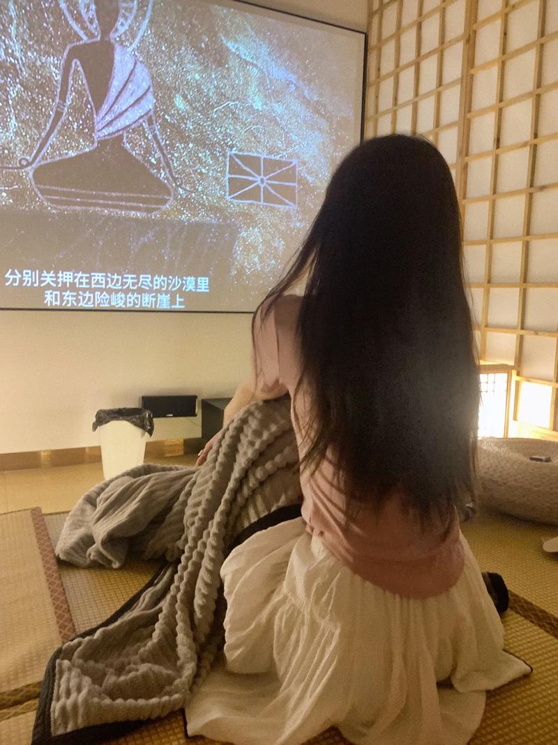 不花钱的毛片的相关介绍