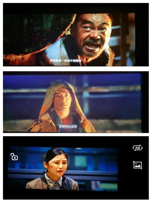 国产精选h色的相关介绍