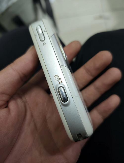 极品人妻啪啪的相关介绍