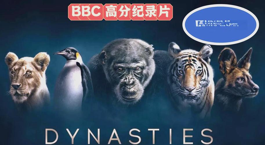 久久超碰片的相关介绍