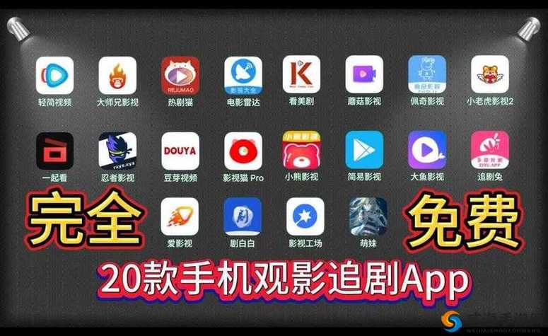 理论电影院的相关介绍