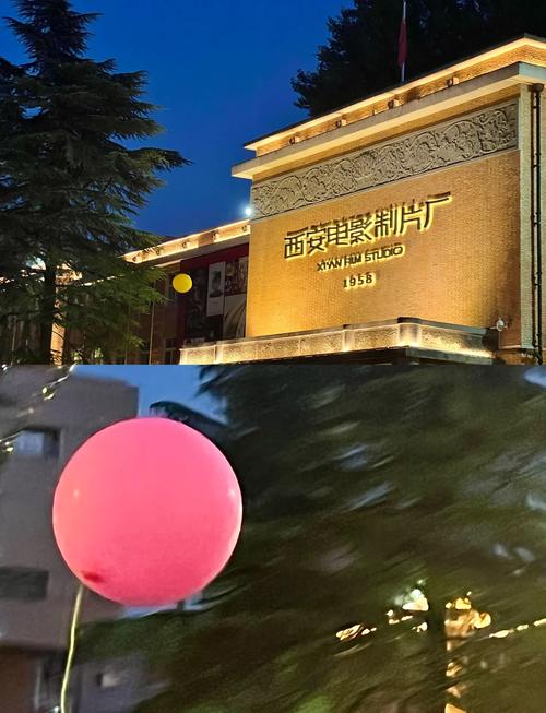 朋友的妻子韩国电影巴巴影院的相关介绍