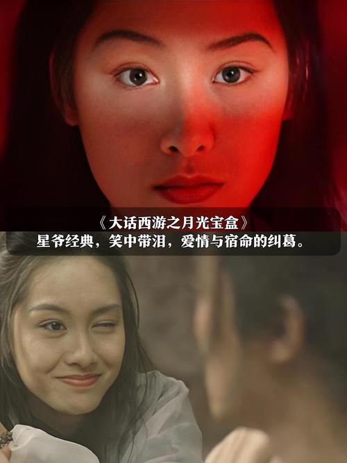 视频免费app下载的相关介绍