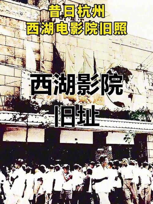 亚洲国产欧美一区二区三区在线的相关介绍