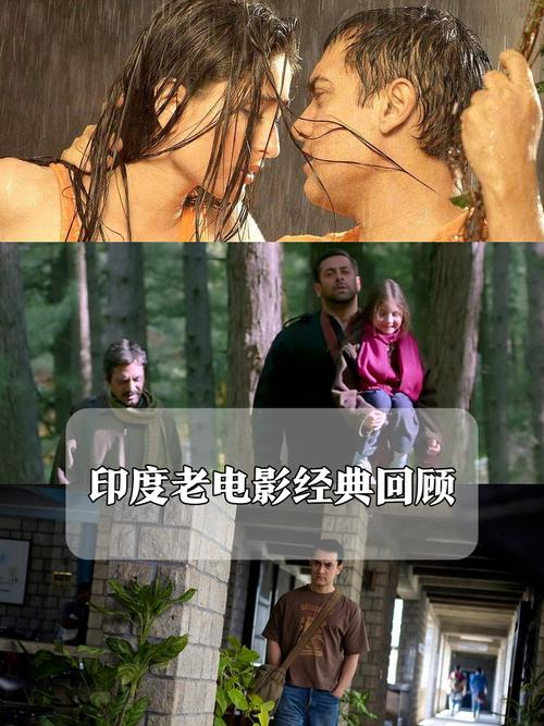 宅宅网仔仔影院的相关介绍
