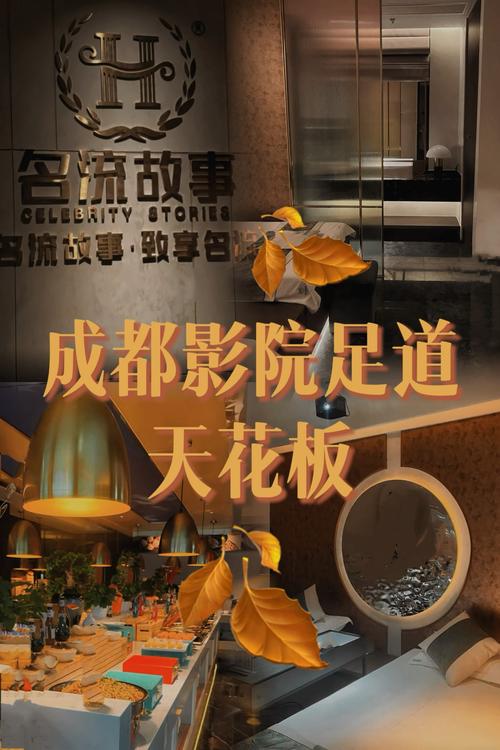 大猫影院的相关介绍