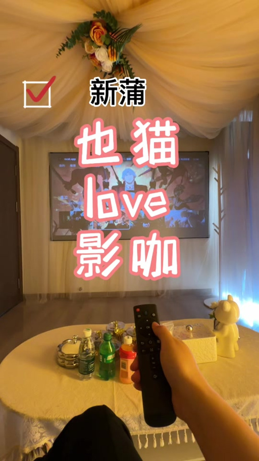 成人免费影院942的相关介绍