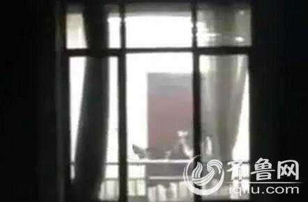 18禁欧美在线的相关介绍