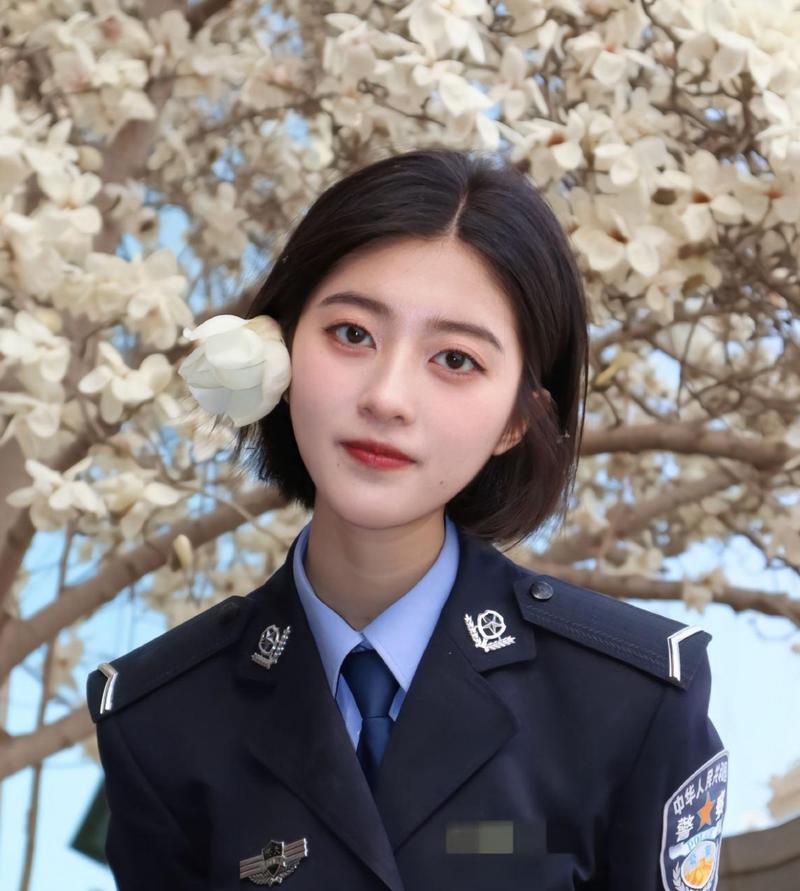 逼特逼动漫的相关介绍