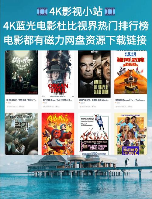 中华广场电影院的相关介绍