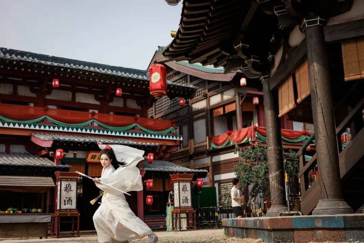 无敌影院视频在线播放 视频的相关介绍