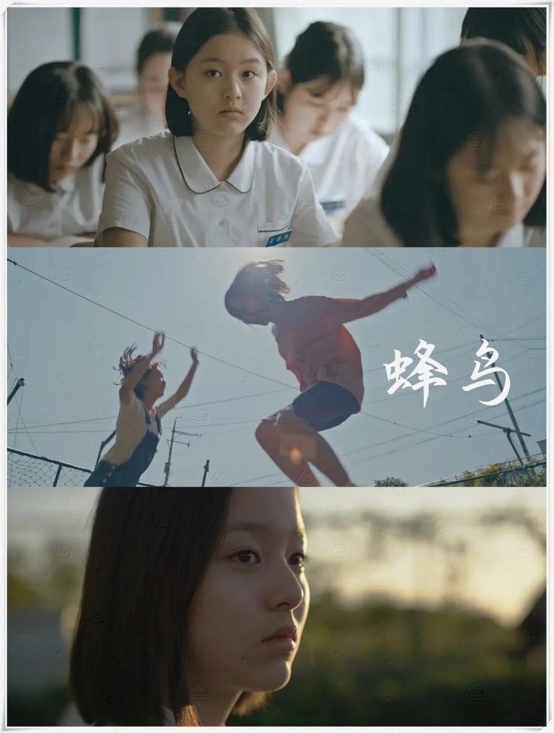 濮阳电影院的相关介绍
