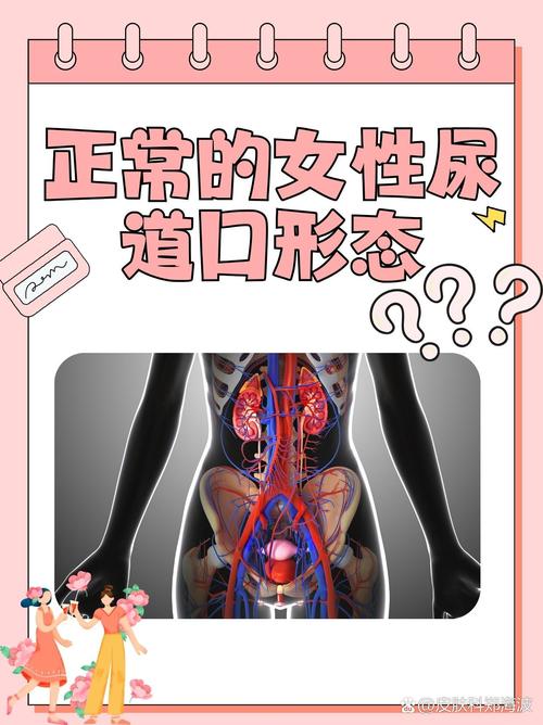 午夜人妻啪啪啪的相关介绍