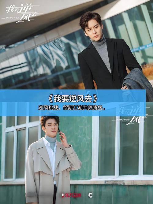 欧美mv日韩mv一区二区的相关介绍